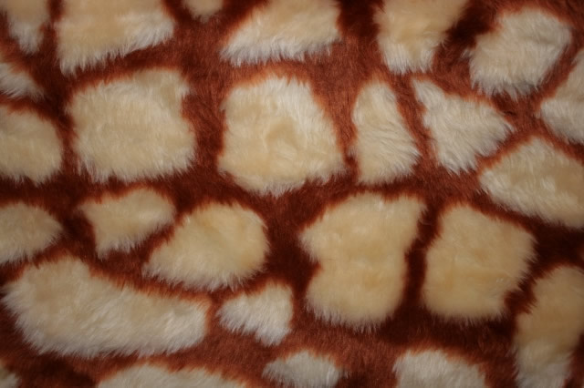 Animal Fur Giraffe